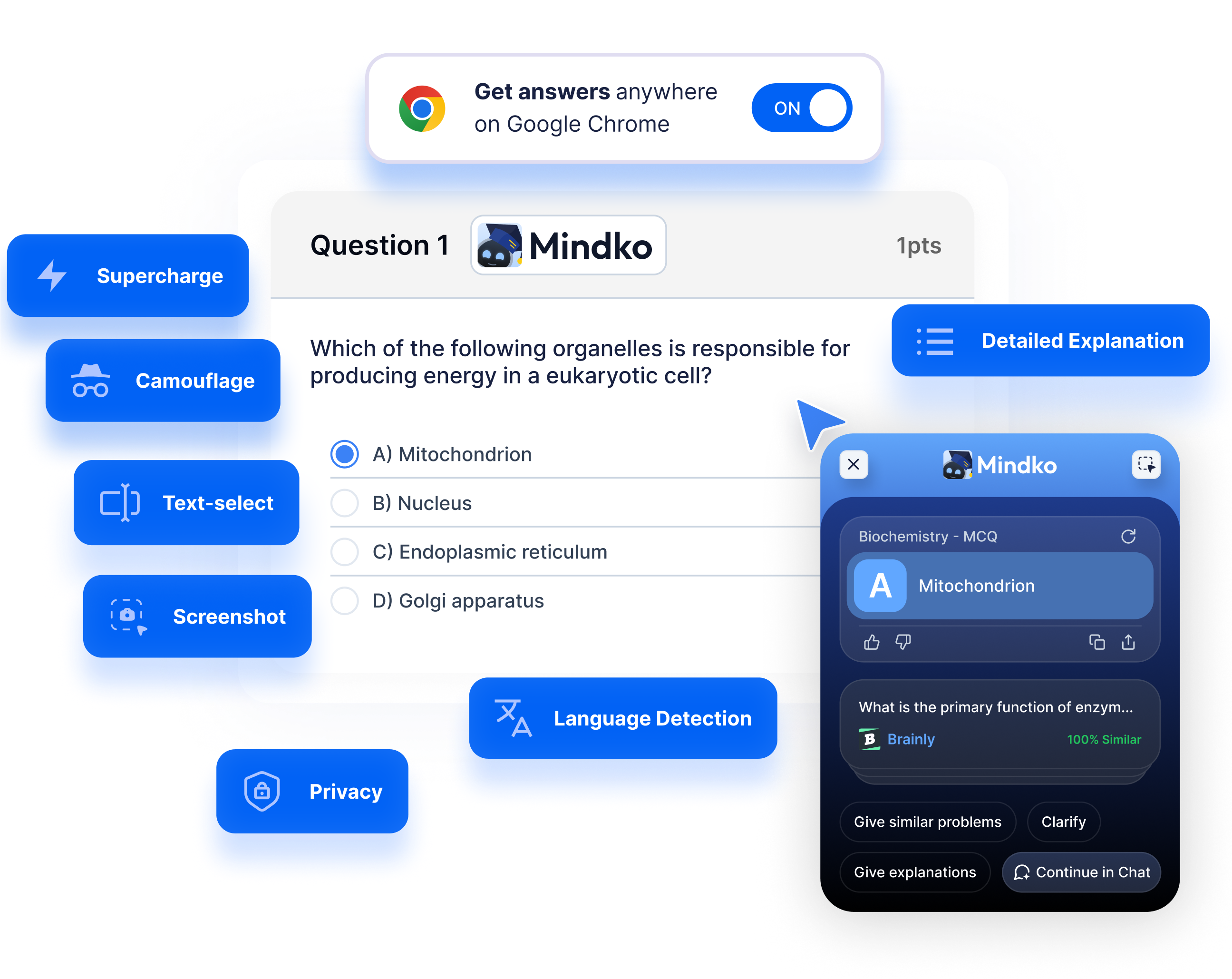 illustration showcasing all the chrome extension features
